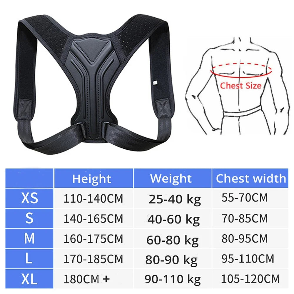 Posture corrector in different sizes